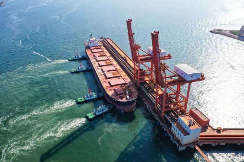 CARGO & STEVEDORING COORDINATION
